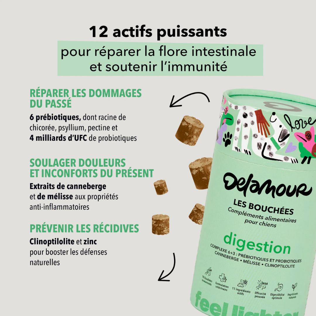 delamour-les-coffrets-digestion-coffret-chien-90-bouch-es image 3