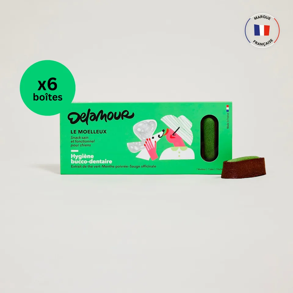 delamour-le-moelleux-hygi-ne-p-tisserie-chien-poulet-6-bo-tes image 1