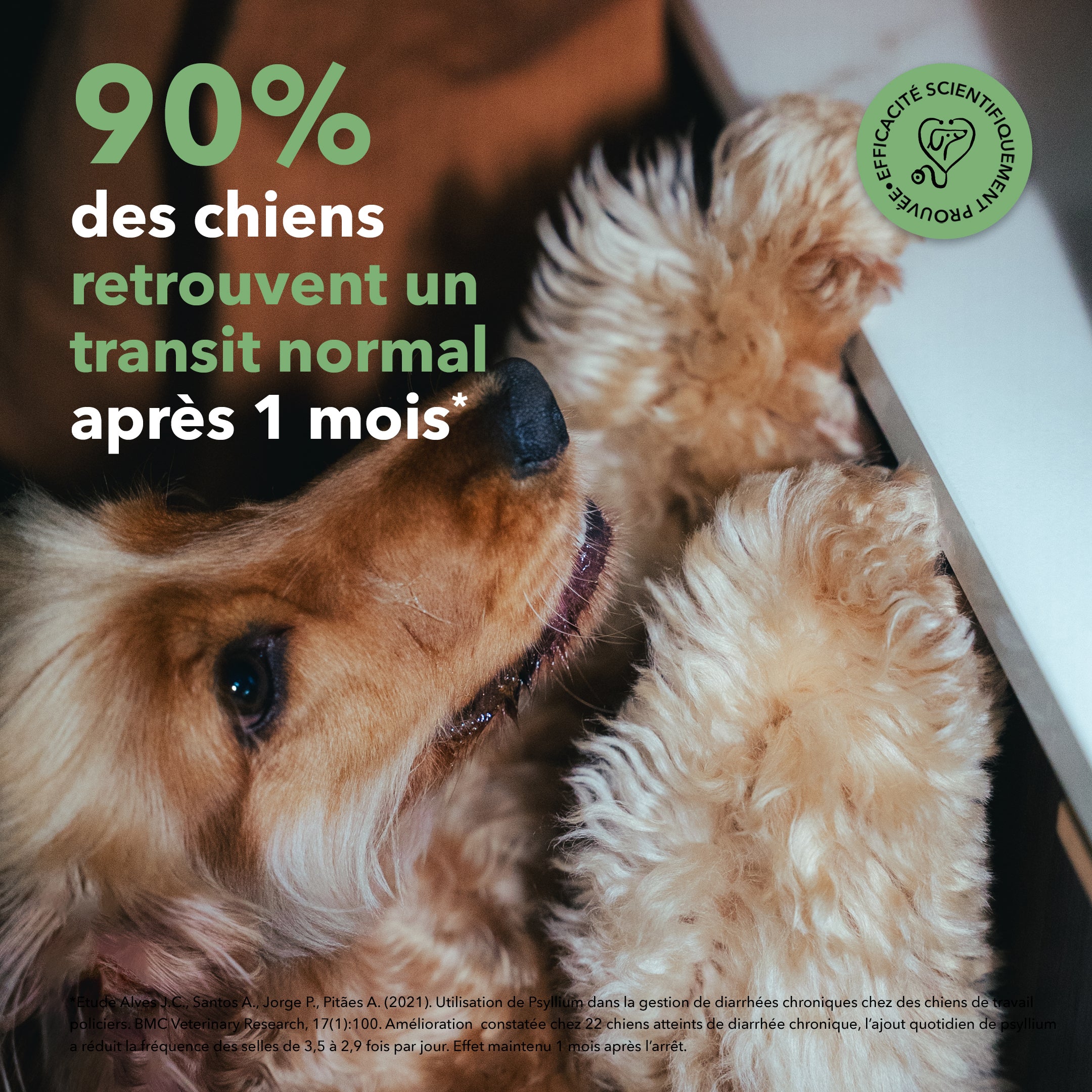 delamour-les-bouch-es-digestion-compl-ment-chien-4-bo-tes image 8