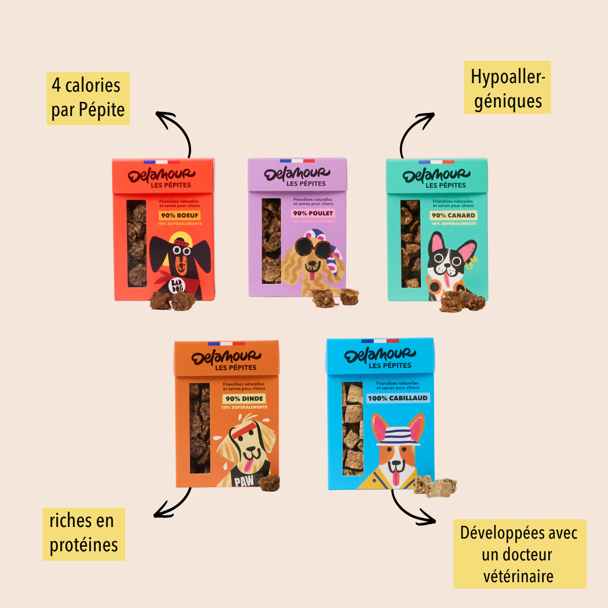 delamour-les-p-pites-coffret-d-couverte-friandises-chien-nomade-5-unit-s image 8