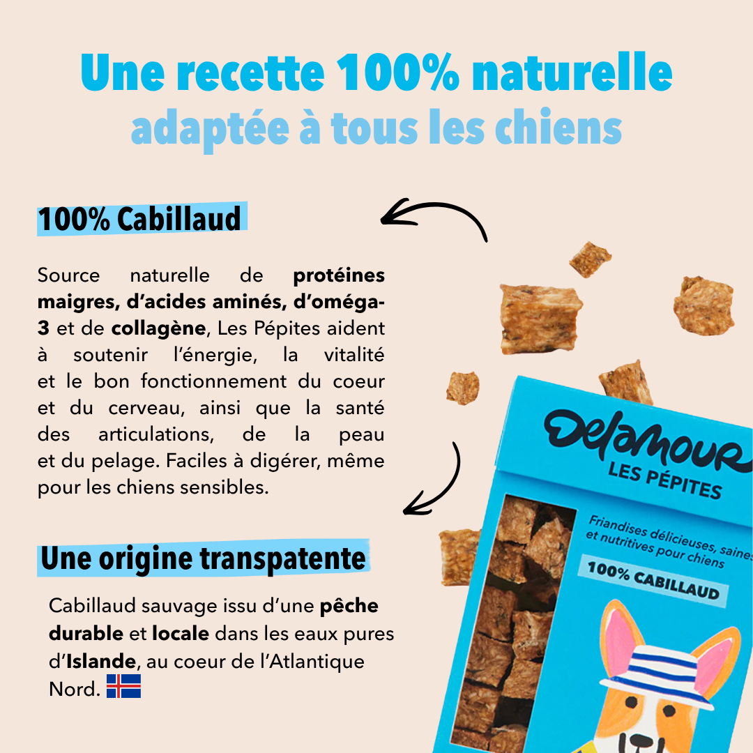 delamour-les-p-pites-cabillaud-friandise-chien-nomade-50g image 4