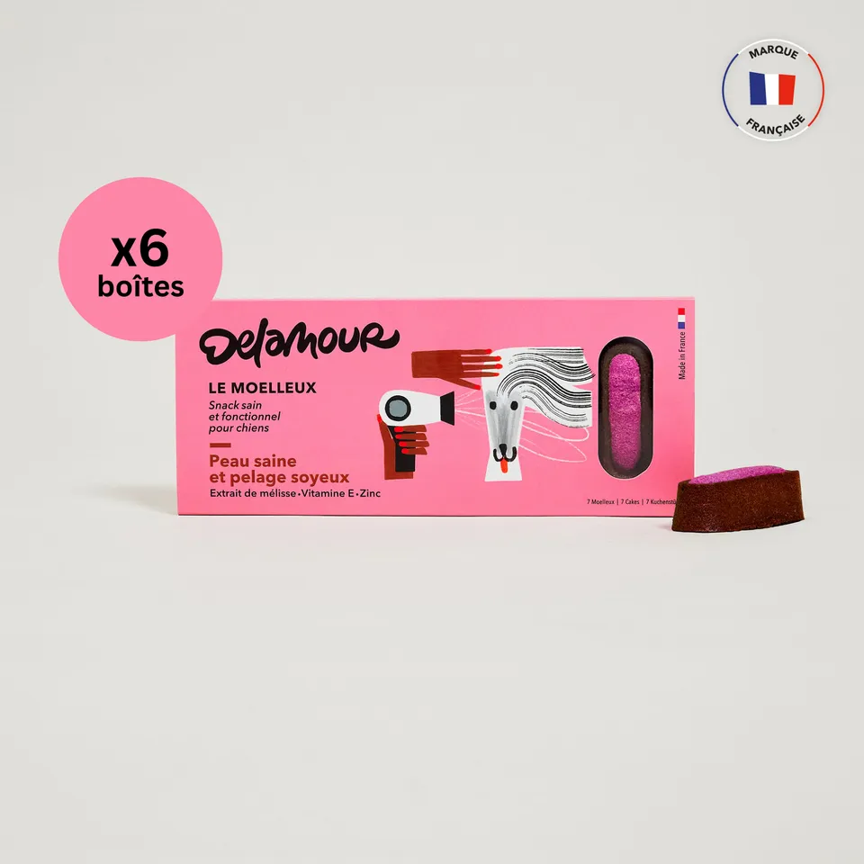 delamour-le-moelleux-pelage-soyeux-g-teau-chien-6-bo-tes image 1