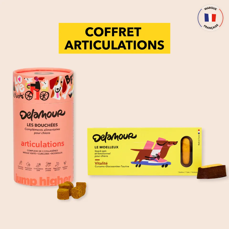 delamour-les-coffrets-articulations-compl-ment-chien-glucosamine image 1