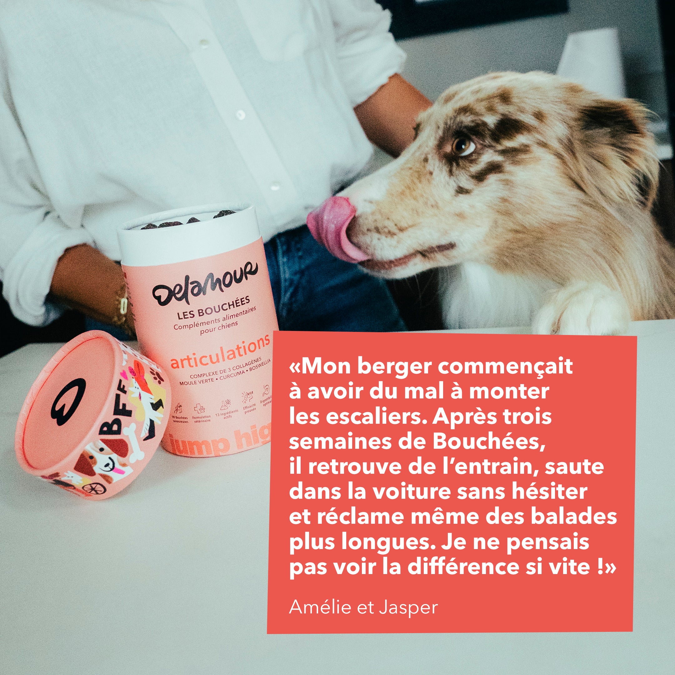 delamour-les-bouch-es-articulations-compl-ment-chien-4-bo-tes image 7