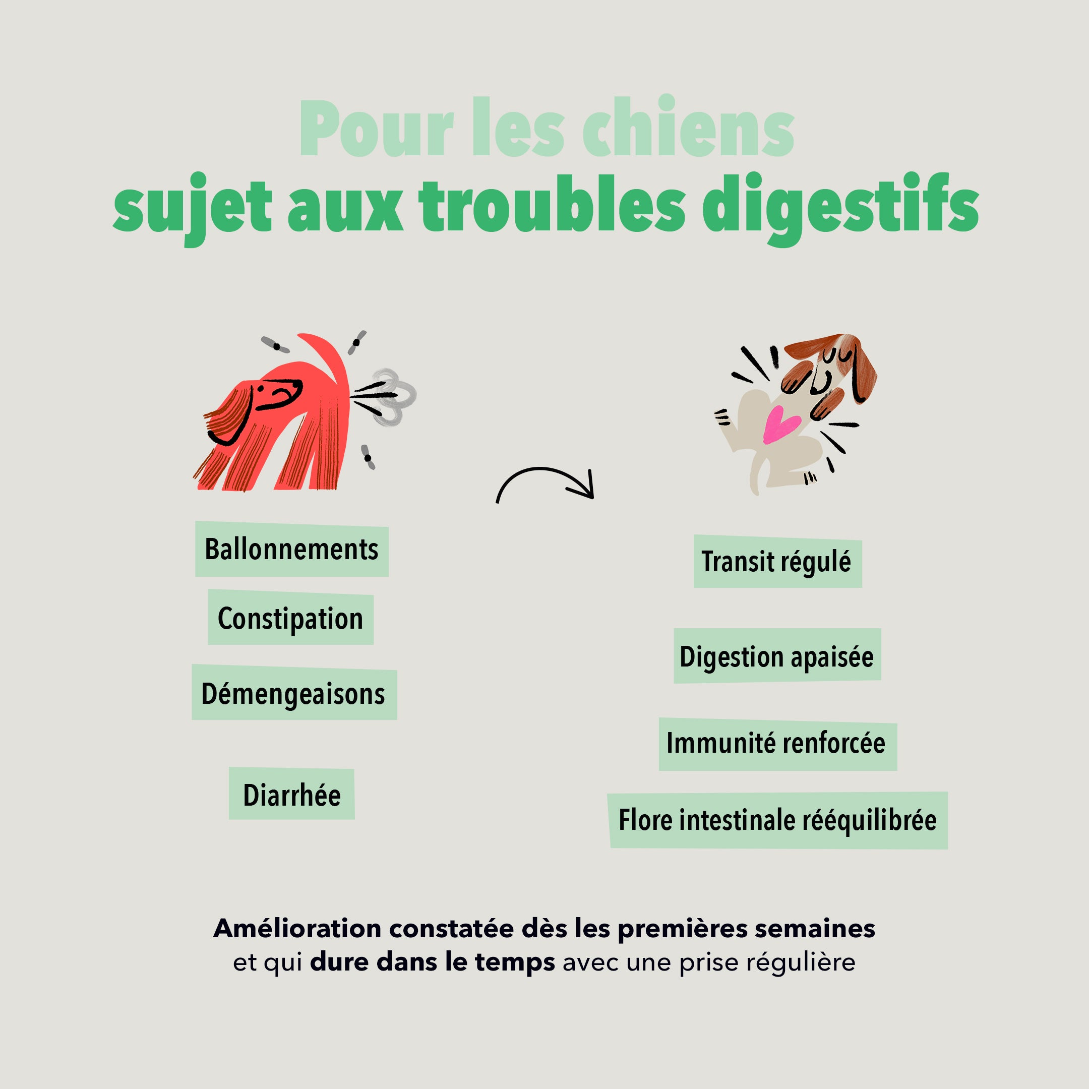 delamour-les-bouch-es-digestion-compl-ment-chien-4-bo-tes image 3