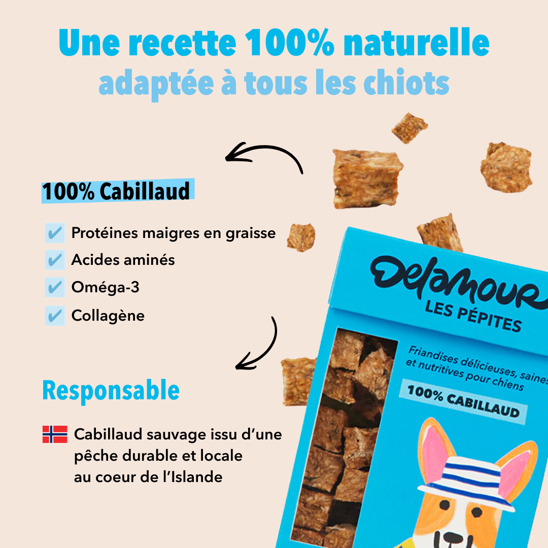 delamour-les-coffrets-coffret-chiot-digestion-cabillaud-s-r-nit image 8