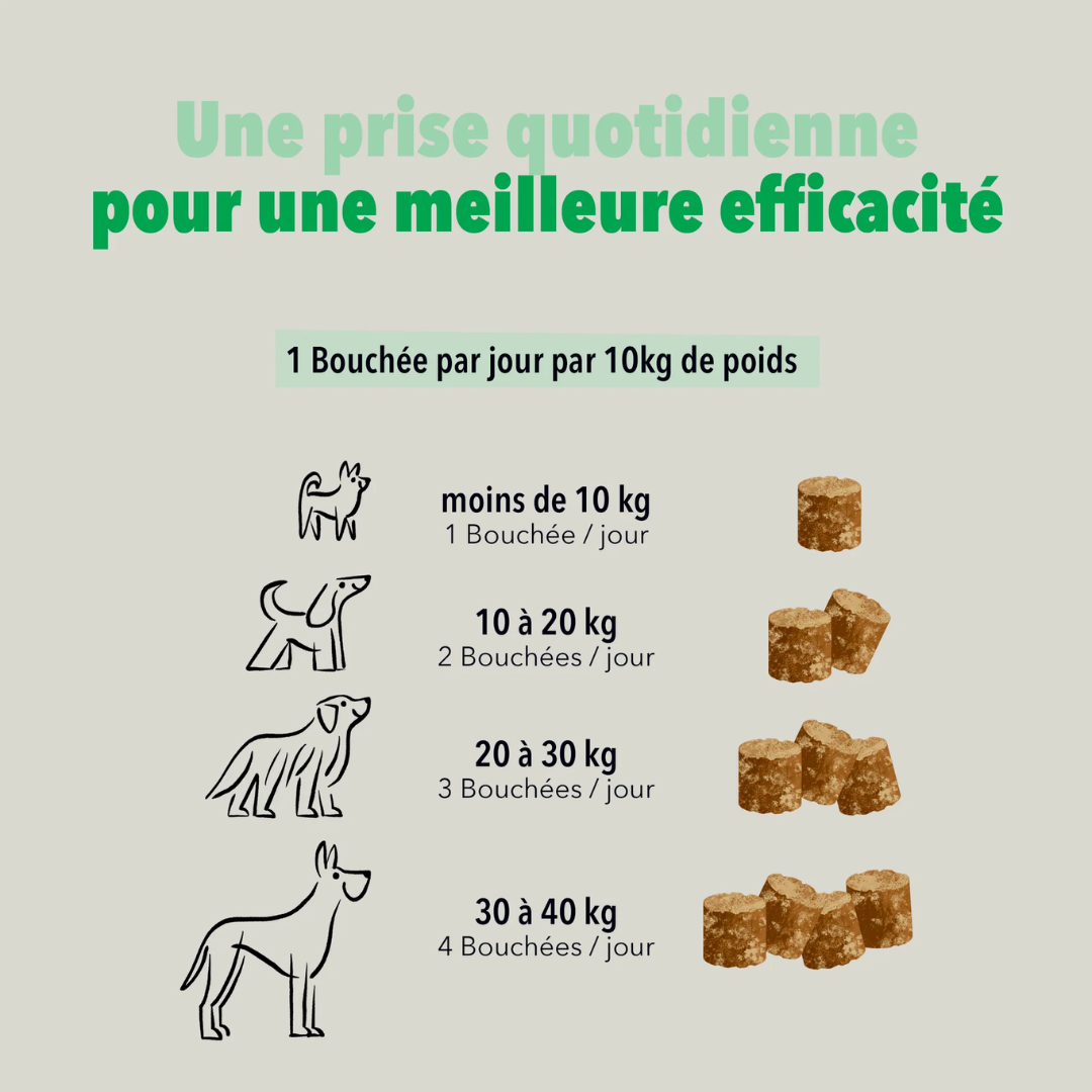 delamour-les-coffrets-digestion-coffret-chien-90-bouch-es image 5