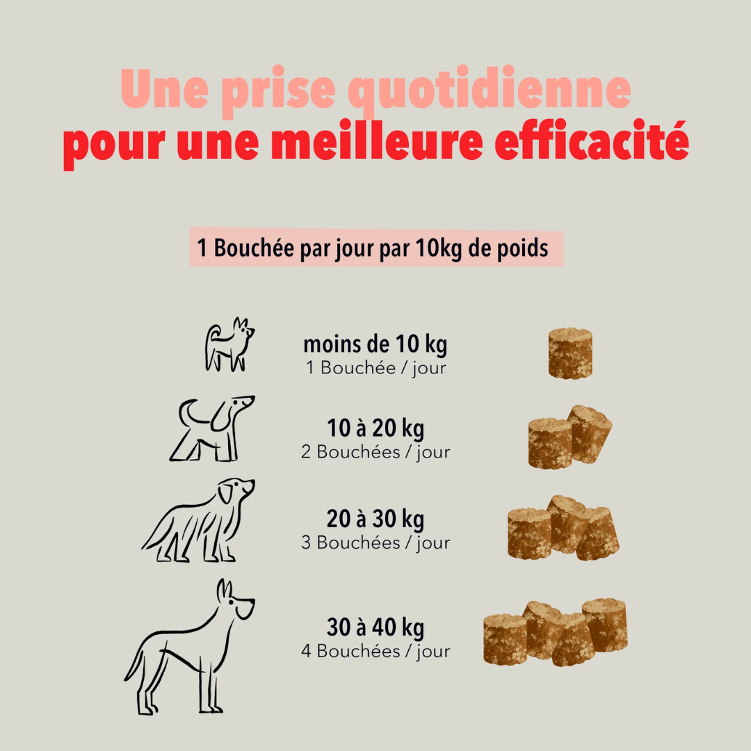 delamour-les-coffrets-articulations-compl-ment-chien-glucosamine image 5