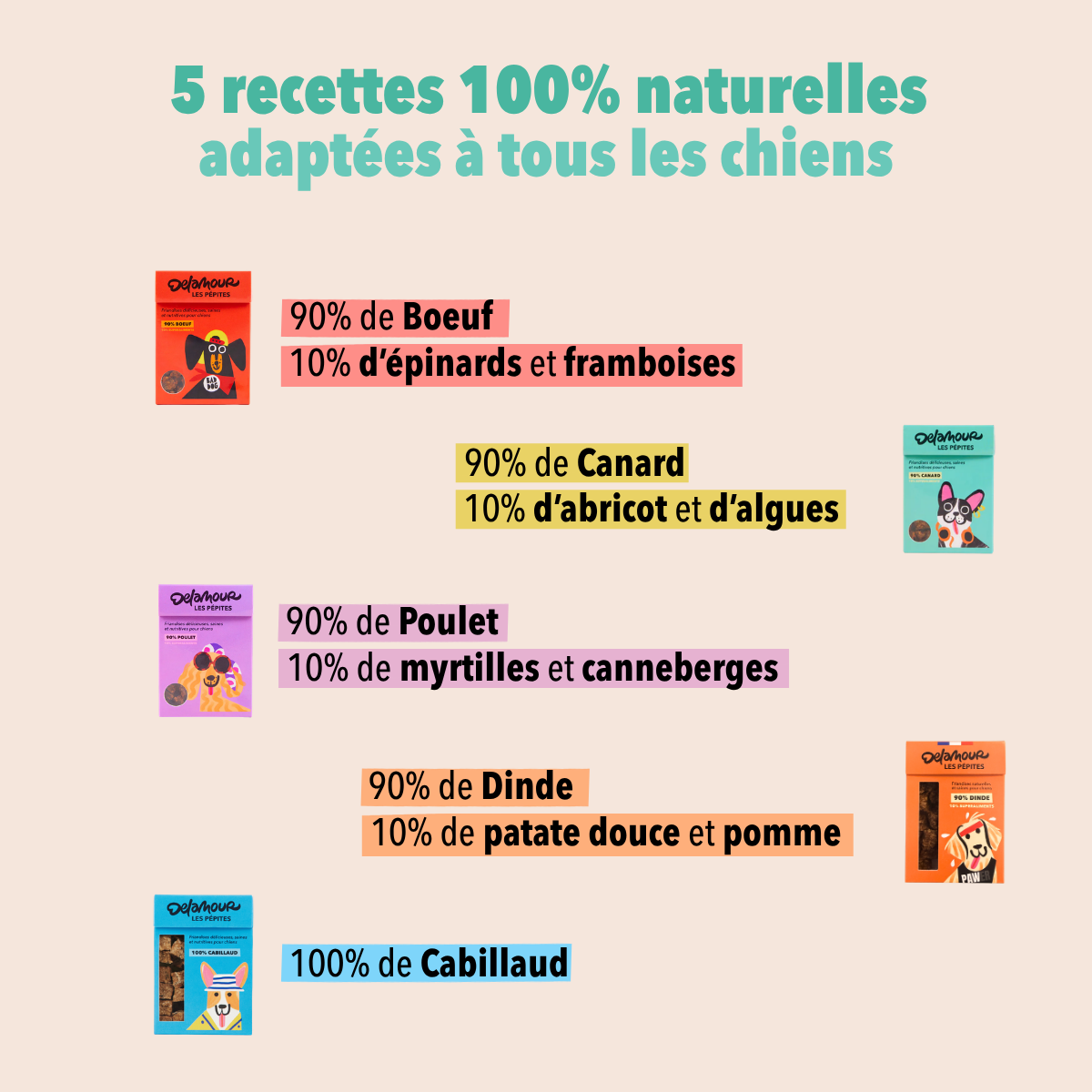 delamour-les-p-pites-coffret-d-couverte-friandises-chien-nomade-5-unit-s image 7
