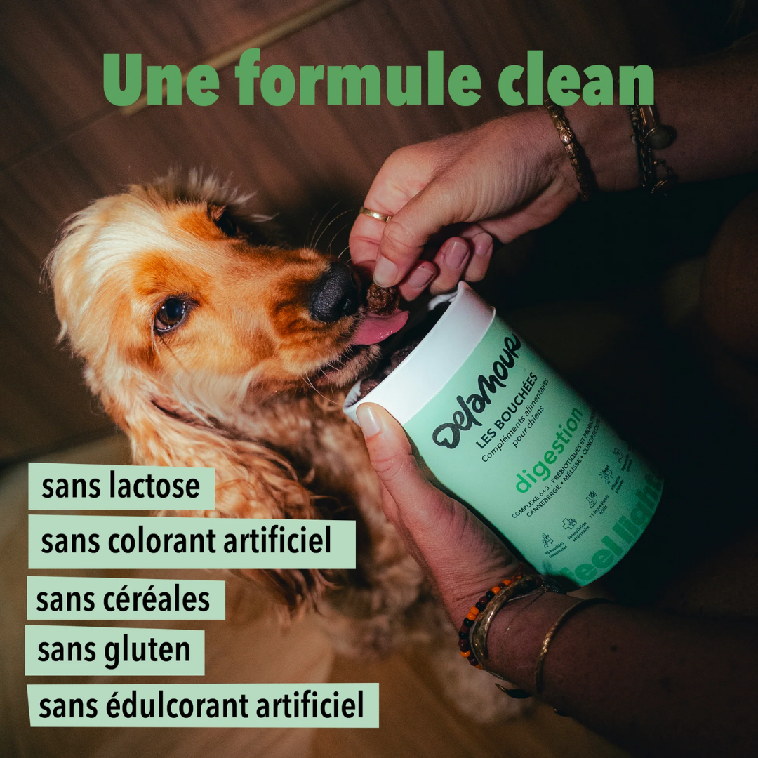 delamour-les-coffrets-coffret-chiot-digestion-cabillaud-s-r-nit image 4