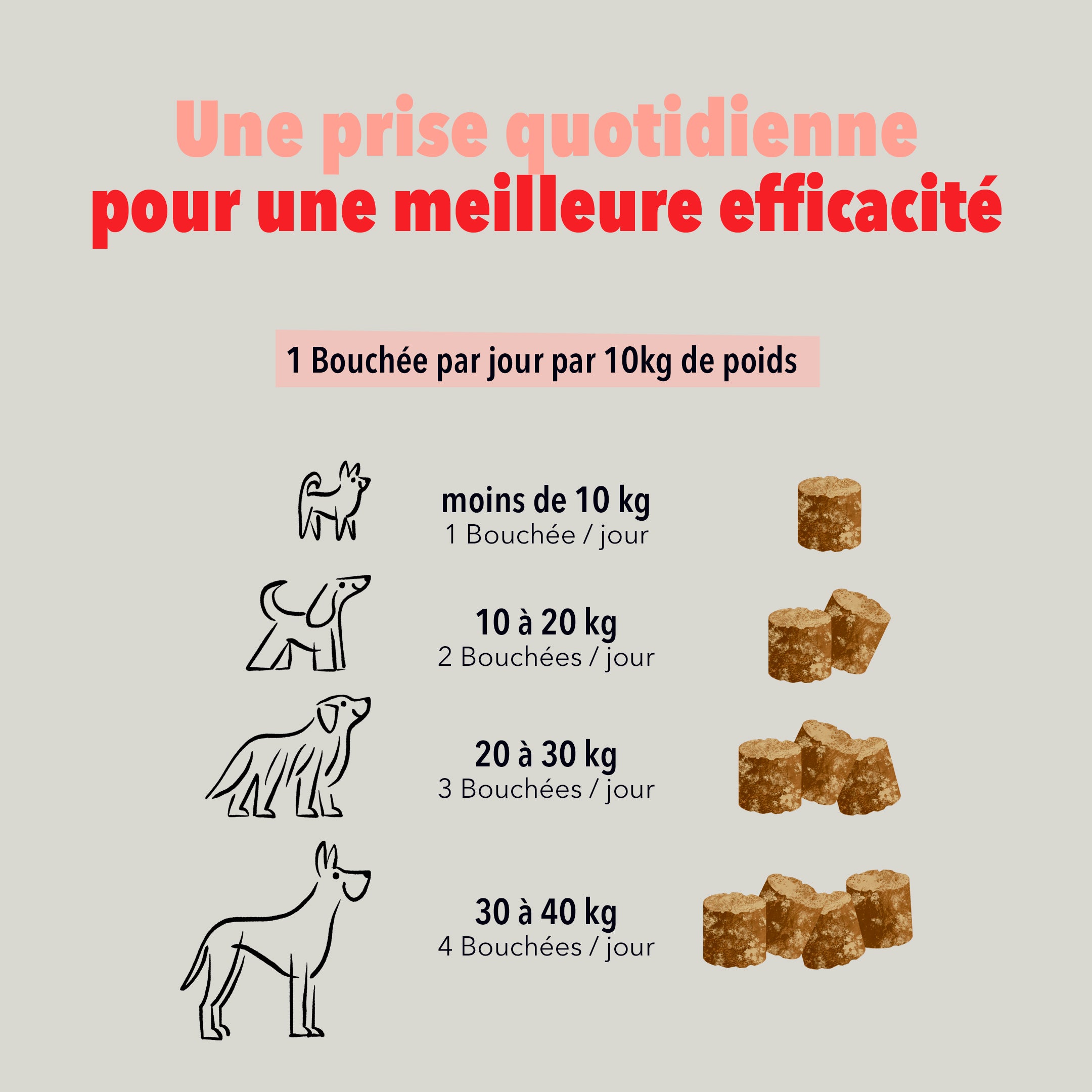 delamour-les-bouch-es-articulations-compl-ment-chien-4-bo-tes image 6