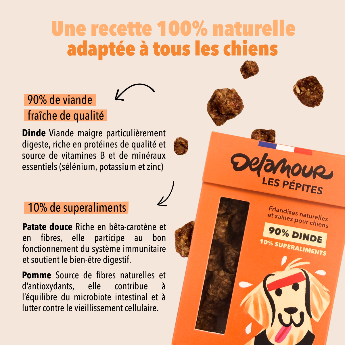 delamour-les-p-pites-dinde-friandise-chien-10-sachets-digeste image 4