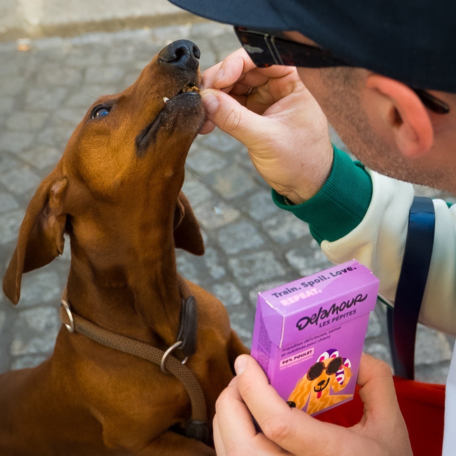 delamour-les-p-pites-poulet-friandises-chien-nomade-poulet image 3