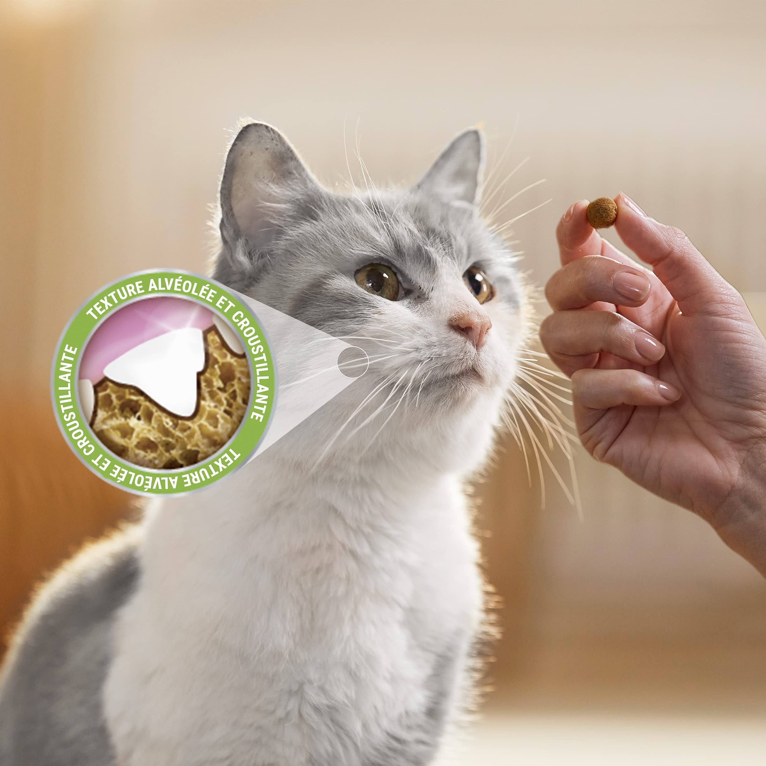 dentalife-chat-daily-friandises-poulet-8x40-g image 7