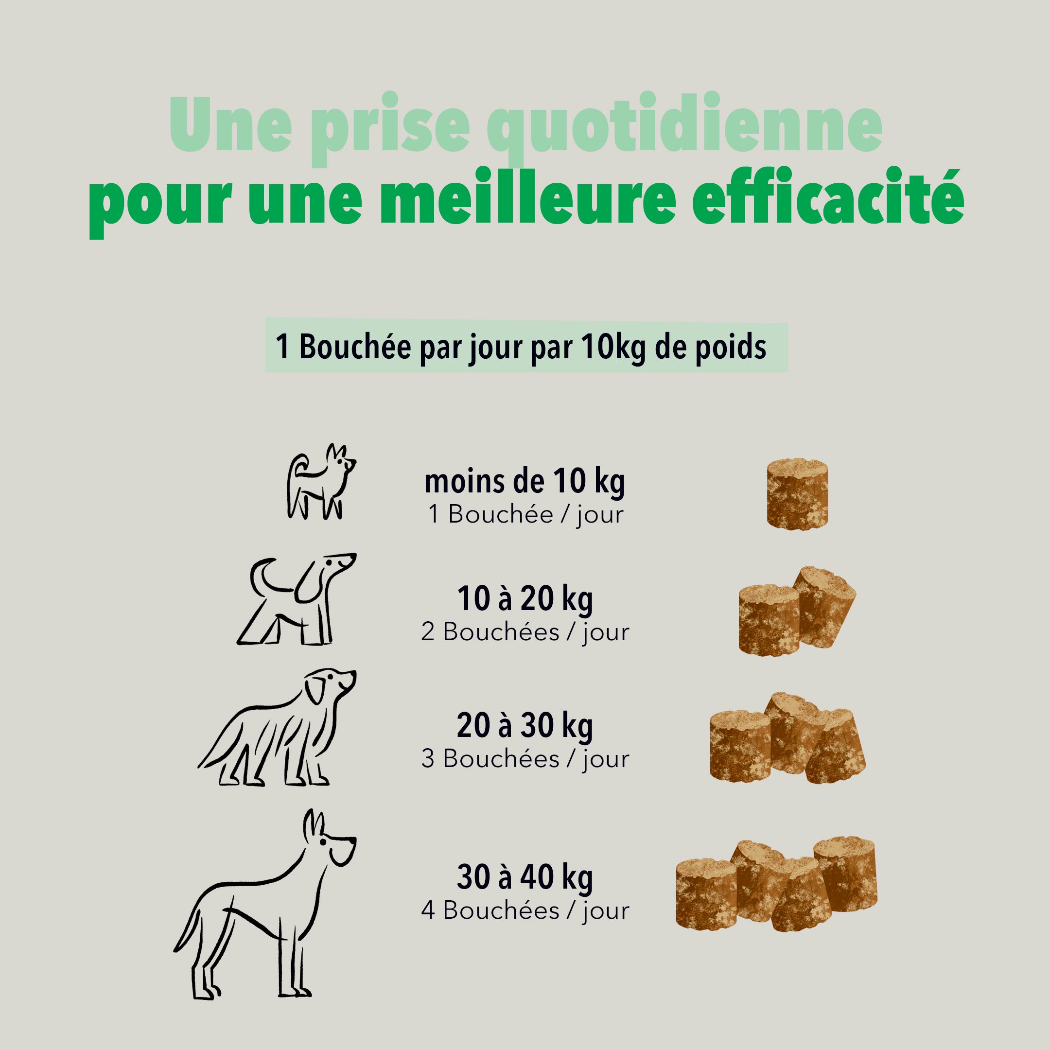 delamour-les-bouch-es-digestion-compl-ment-chien-4-bo-tes image 6