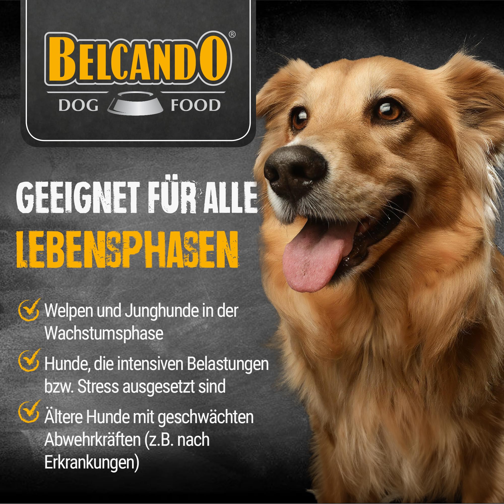 belcando-tabs-vital-compl-ment-chien-immunit-60-comprim-s image 3