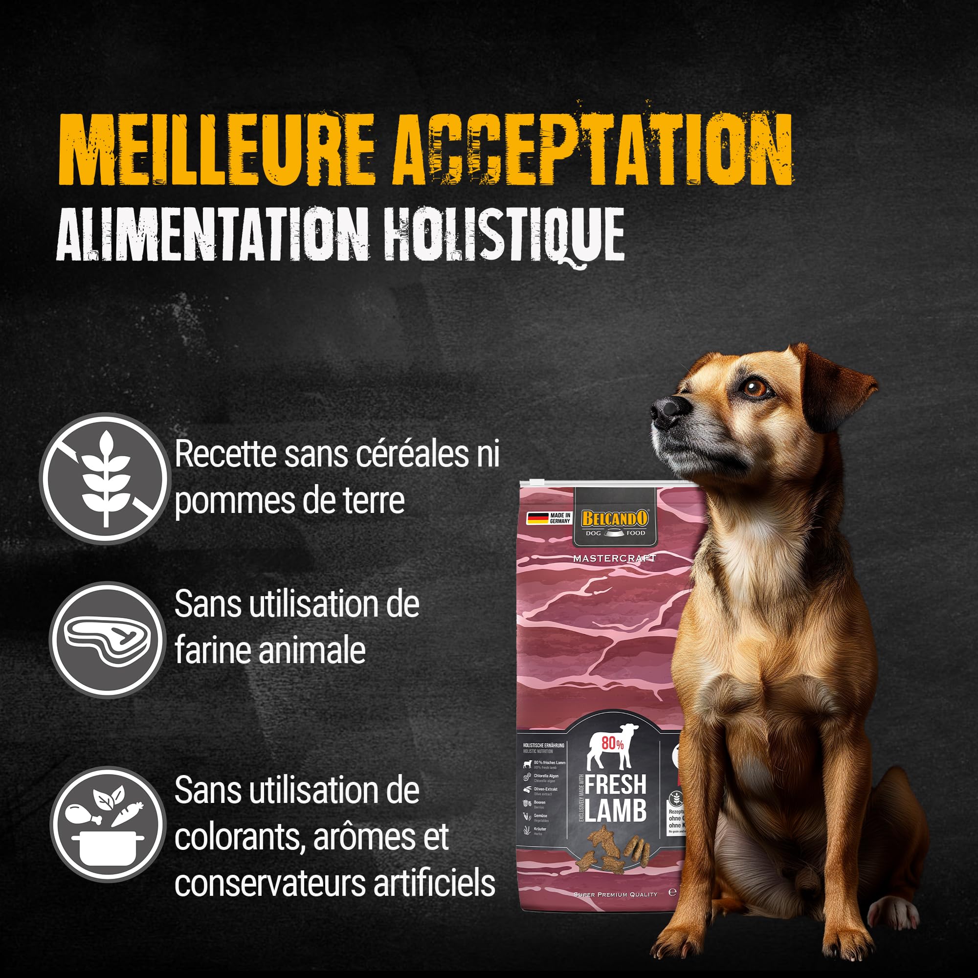 belcando-mastercraft-fresh-lamb-croquettes-agneau-sans-c-r-ales-10kg image 5