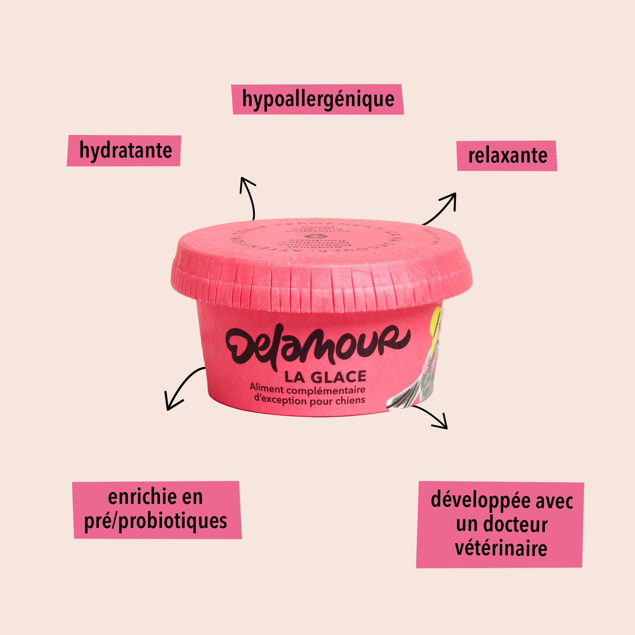 delamour-la-glace-framboise-glace-chien-12-pots-fruit image 3