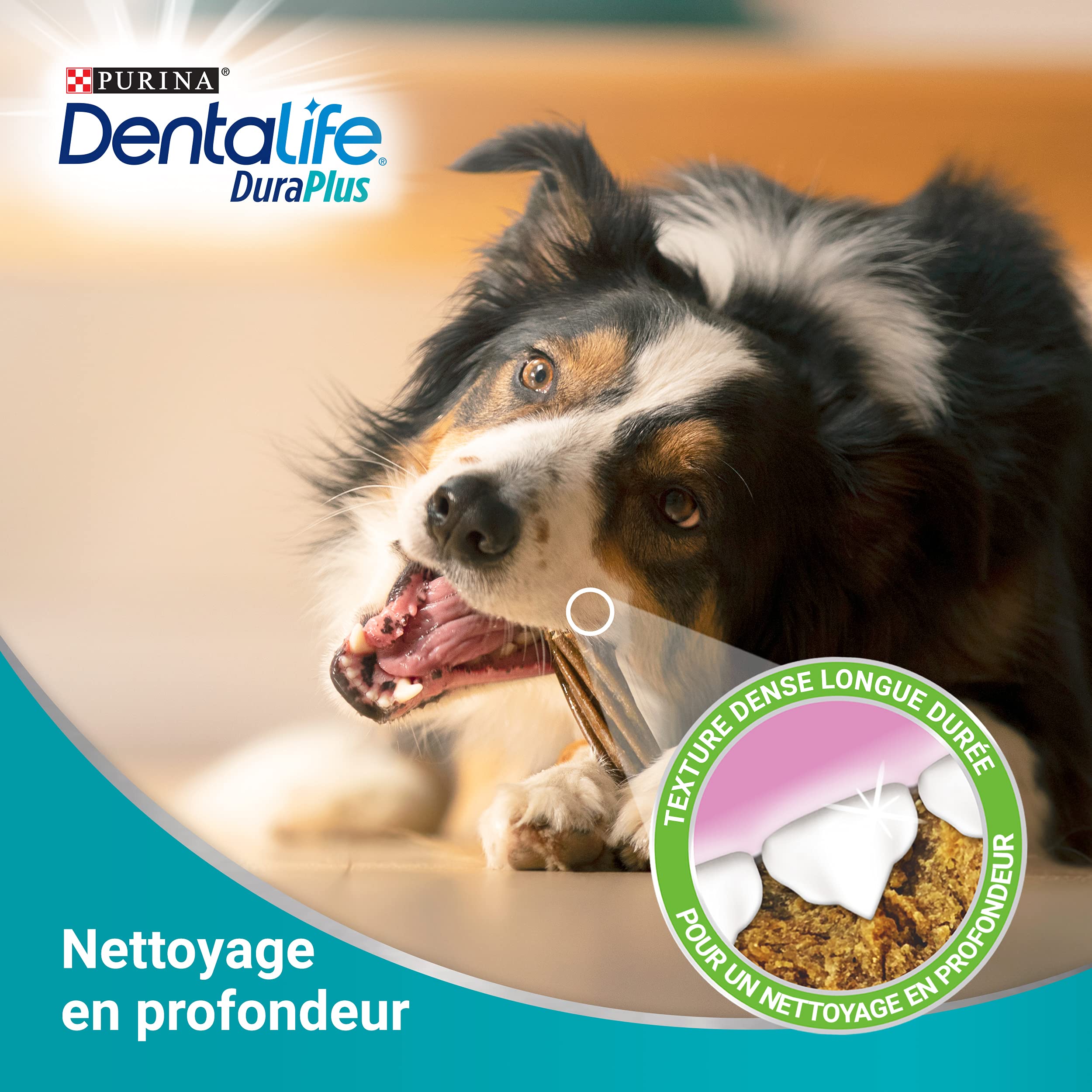dentalife-duraplus-b-tonnets-m-cher-chien-petite-taille-5-unit-s image 6