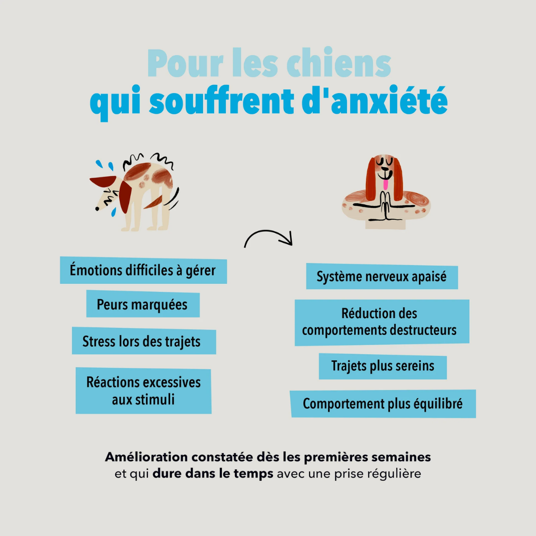 delamour-les-coffrets-anxi-t-friandises-chien-apaisantes image 2