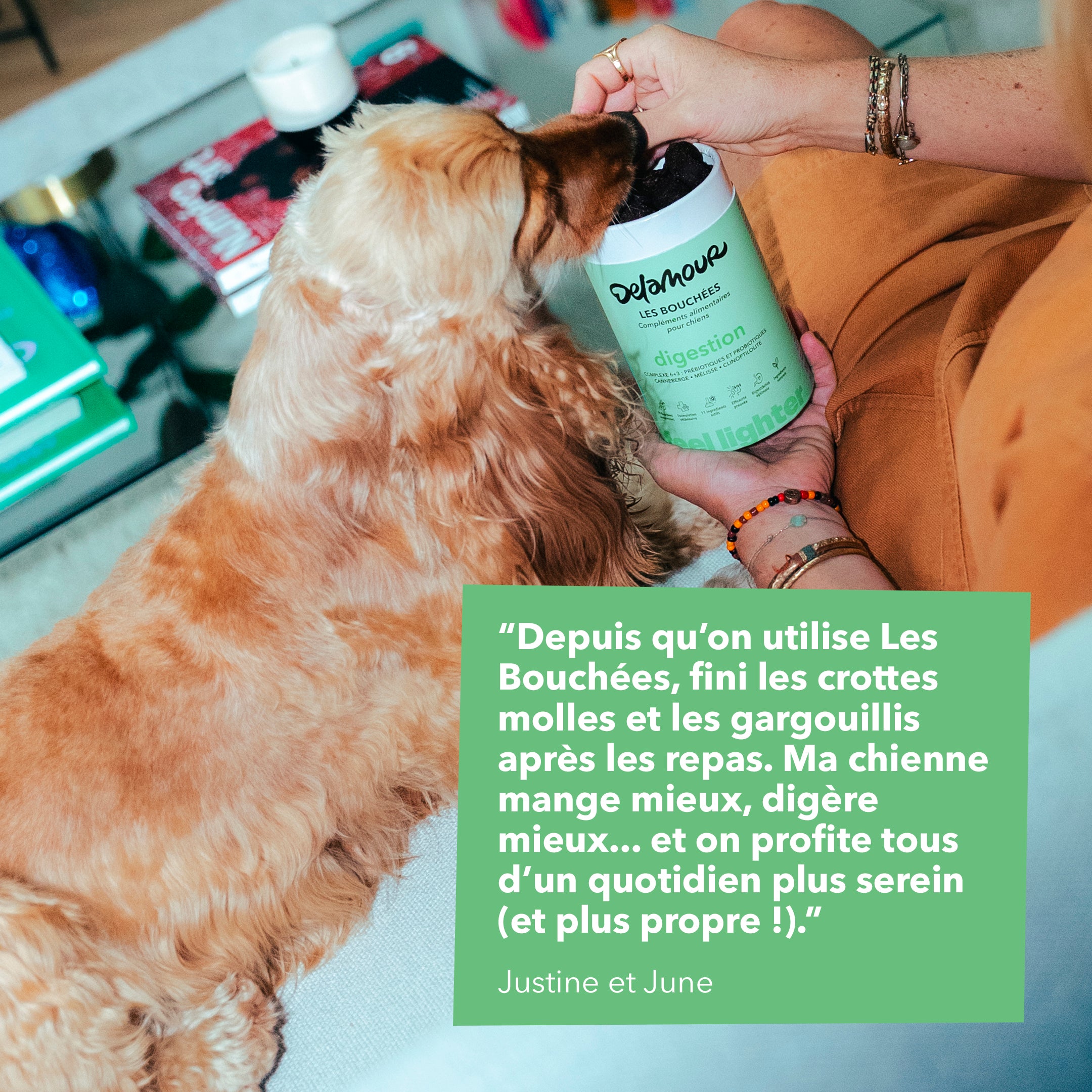 delamour-les-bouch-es-digestion-compl-ment-chien-4-bo-tes image 7