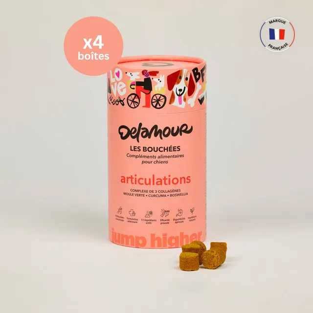 delamour-les-bouch-es-articulations-compl-ment-chien-4-bo-tes image 1