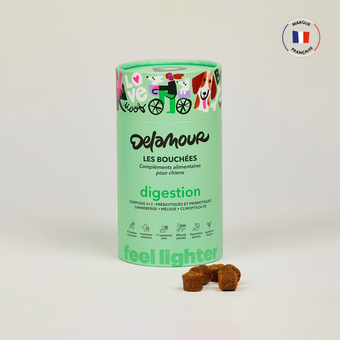 delamour-les-bouch-es-digestion-compl-ment-chien-1-bo-te image 1
