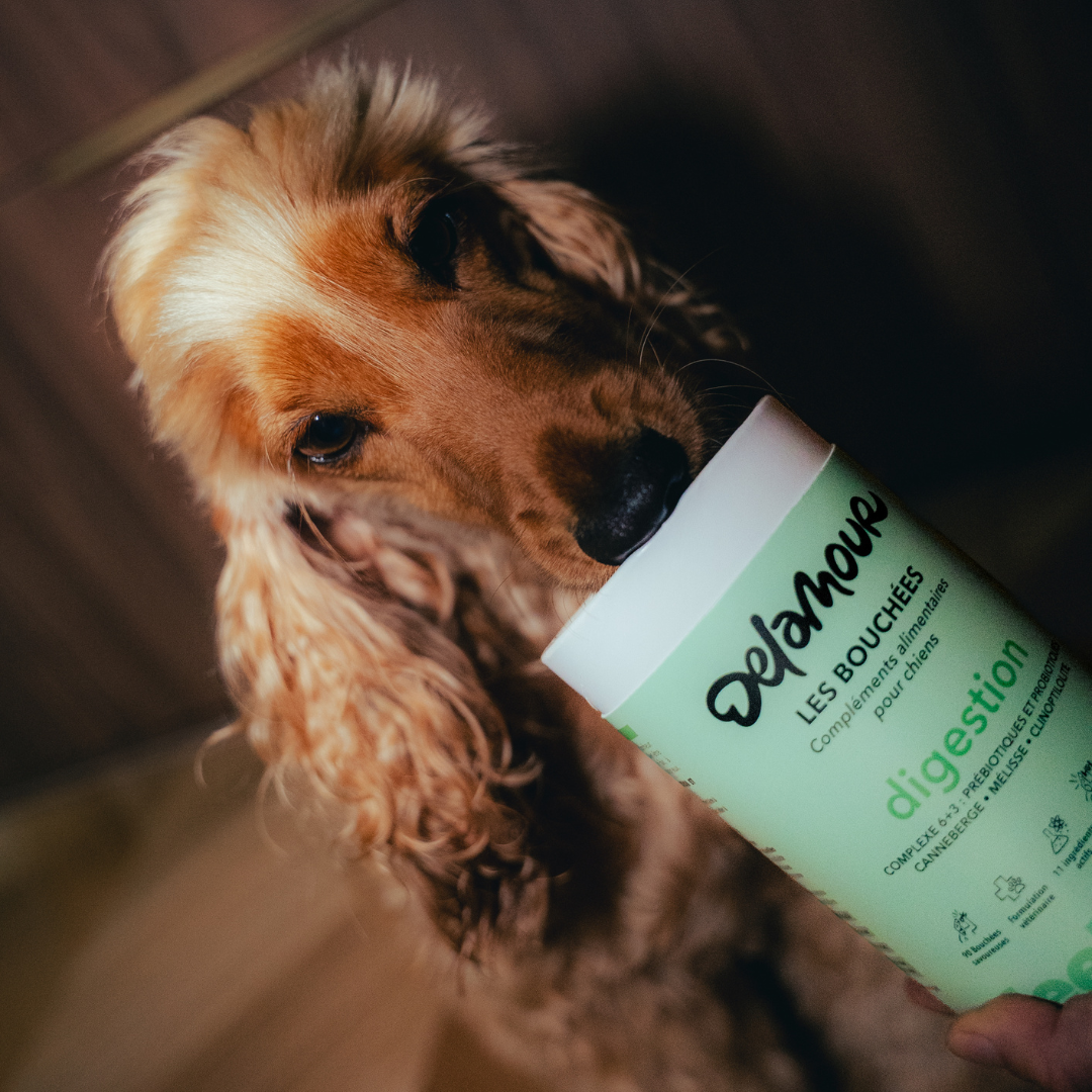 delamour-les-coffrets-digestion-coffret-chien-90-bouch-es image 6