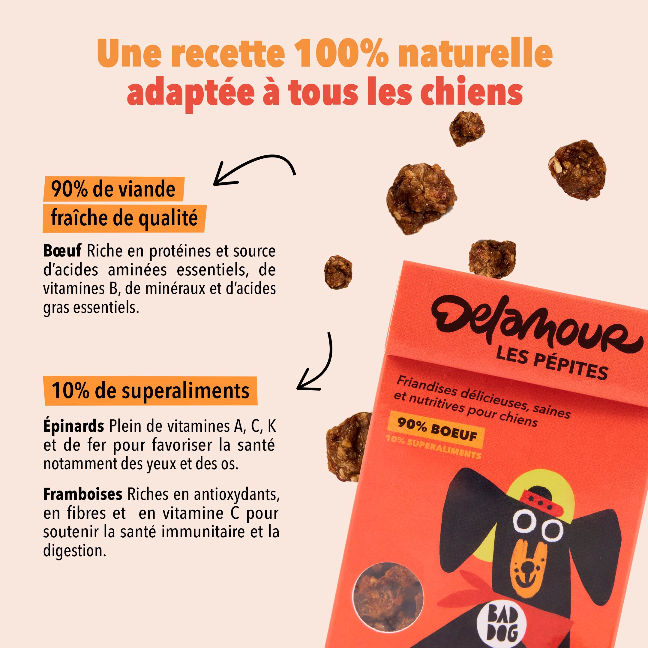 delamour-les-p-pites-friandise-chien-boeuf-90-nomade-75g image 4