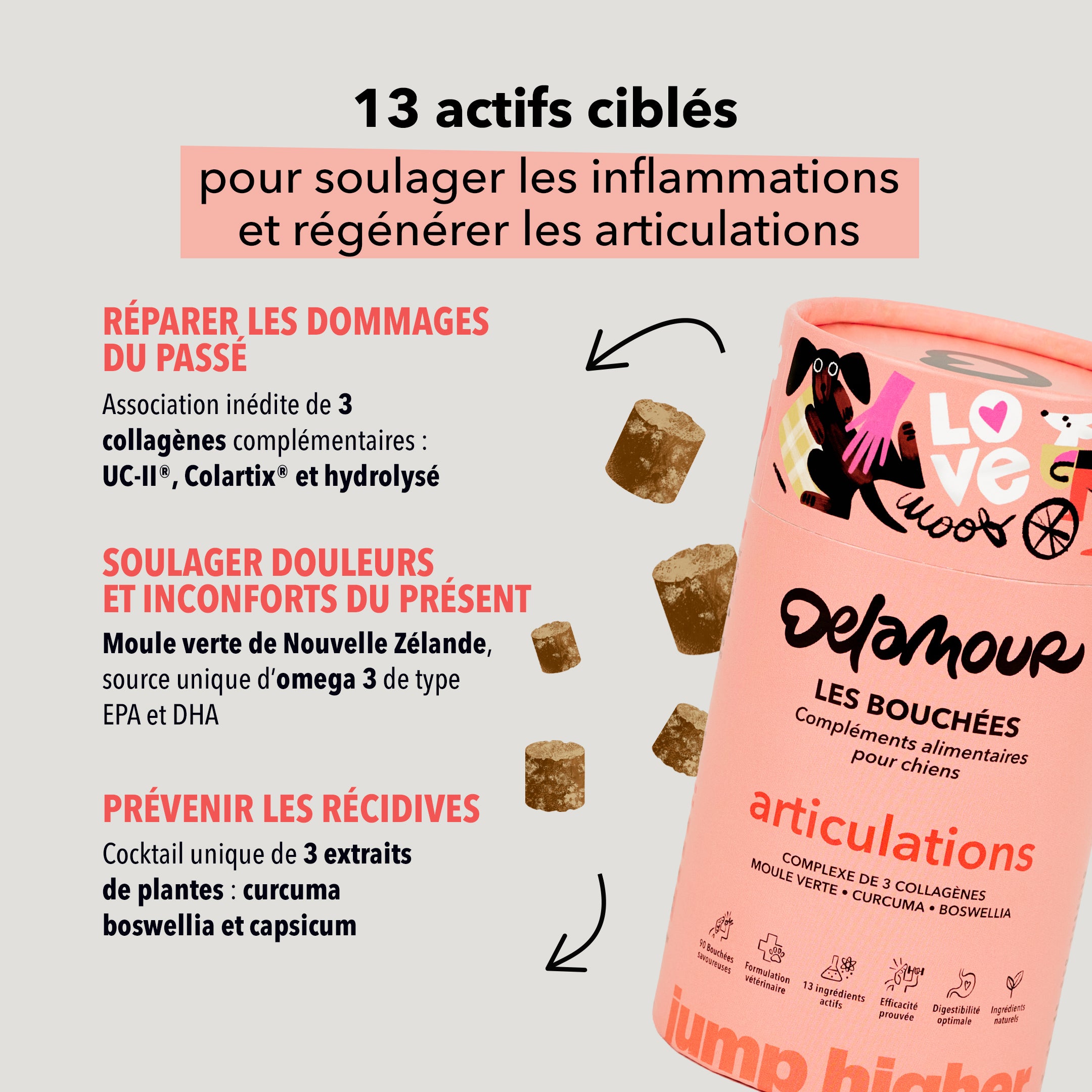 delamour-les-bouch-es-articulations-compl-ment-chien-4-bo-tes image 4