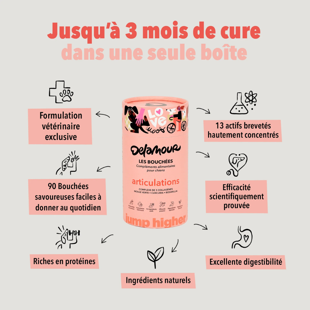 delamour-les-coffrets-articulations-compl-ment-chien-glucosamine image 4