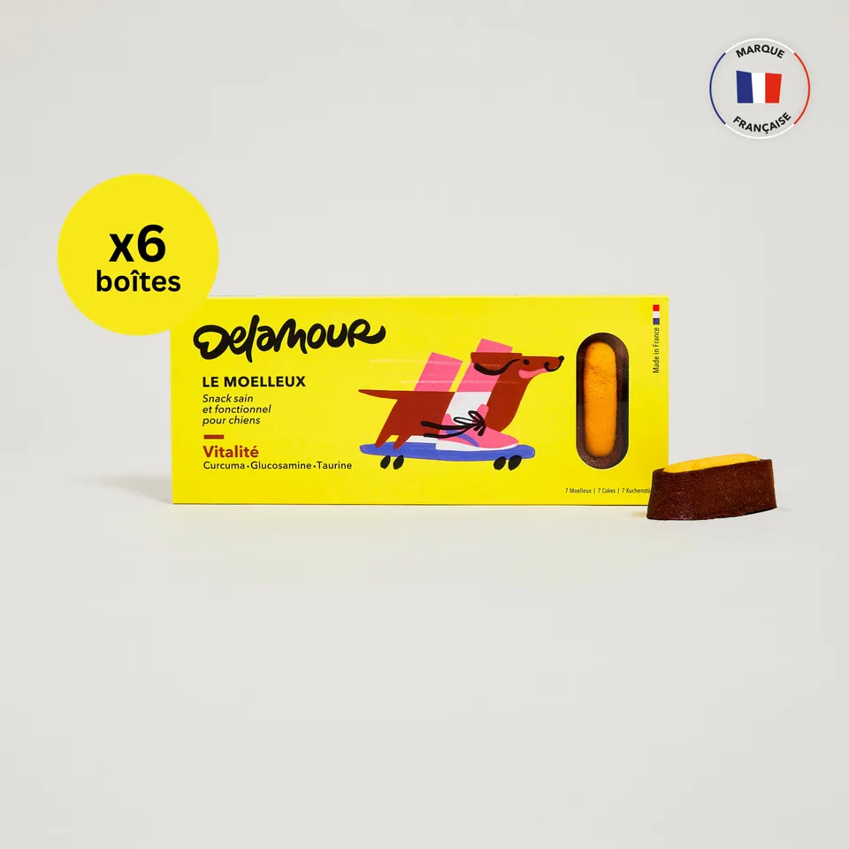 delamour-le-moelleux-vitalit-p-tisserie-chien-poulet-6-bo-tes image 1