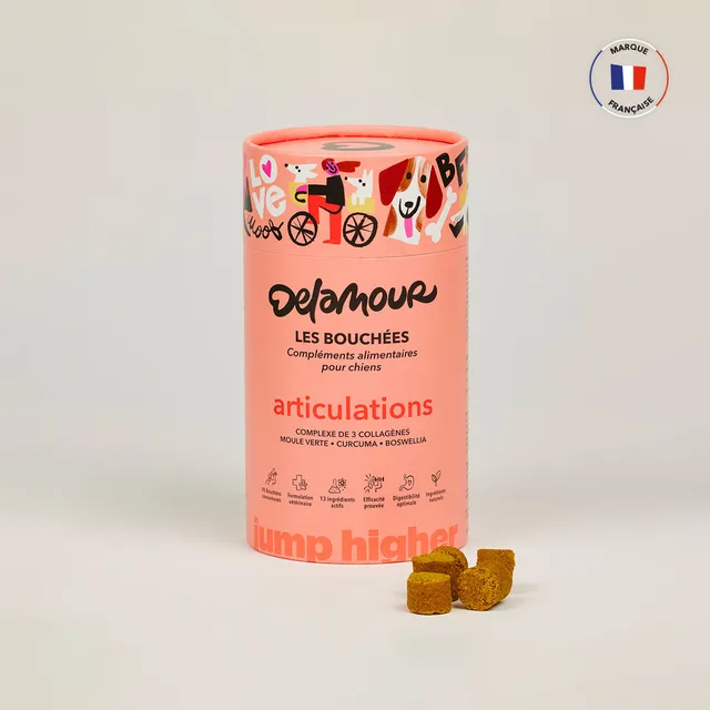 delamour-les-bouch-es-articulations-compl-ment-chien-1-bo-te image 1