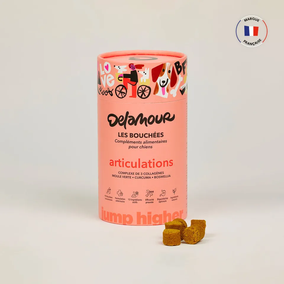 delamour-les-bouch-es-articulations-compl-ment-chien-1-bo-te image 1