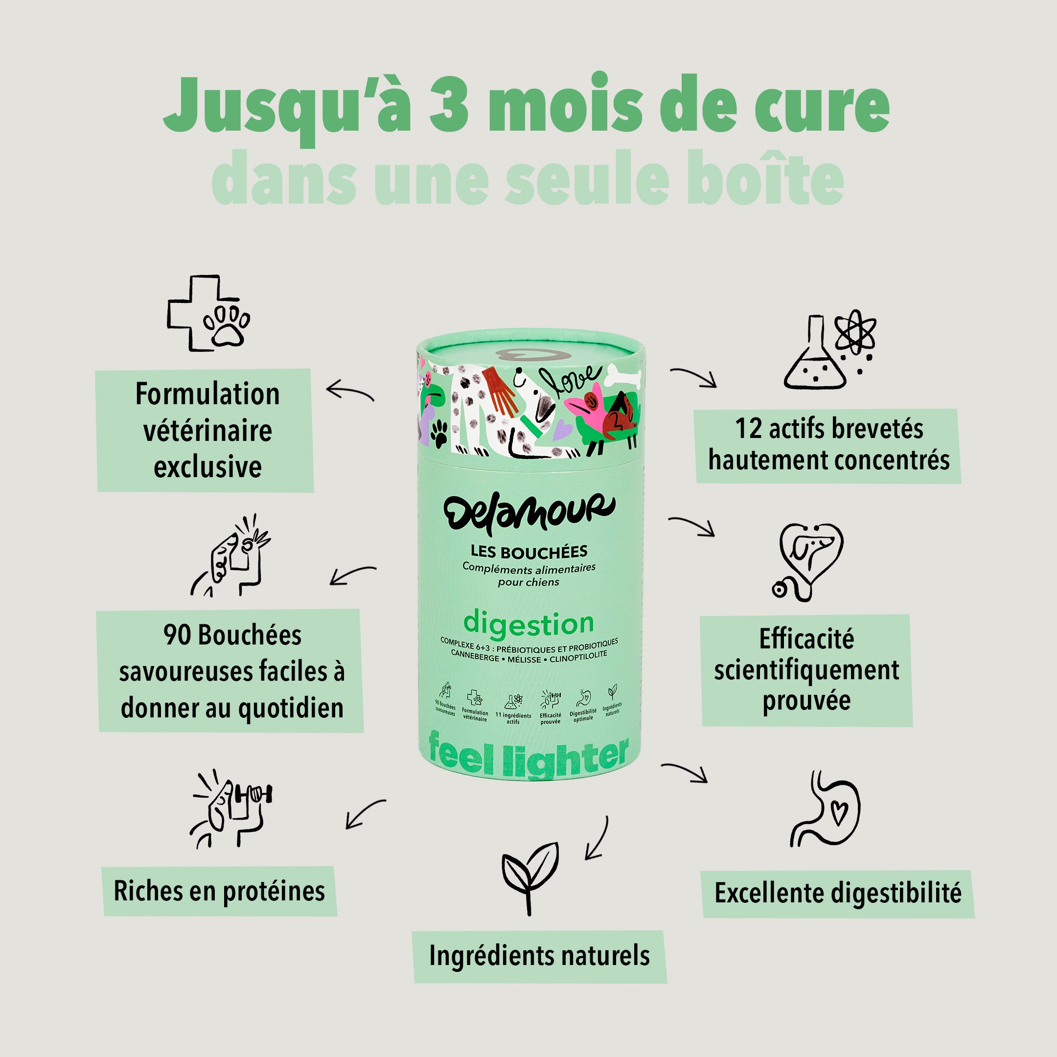 delamour-les-bouch-es-digestion-compl-ment-chien-4-bo-tes image 4