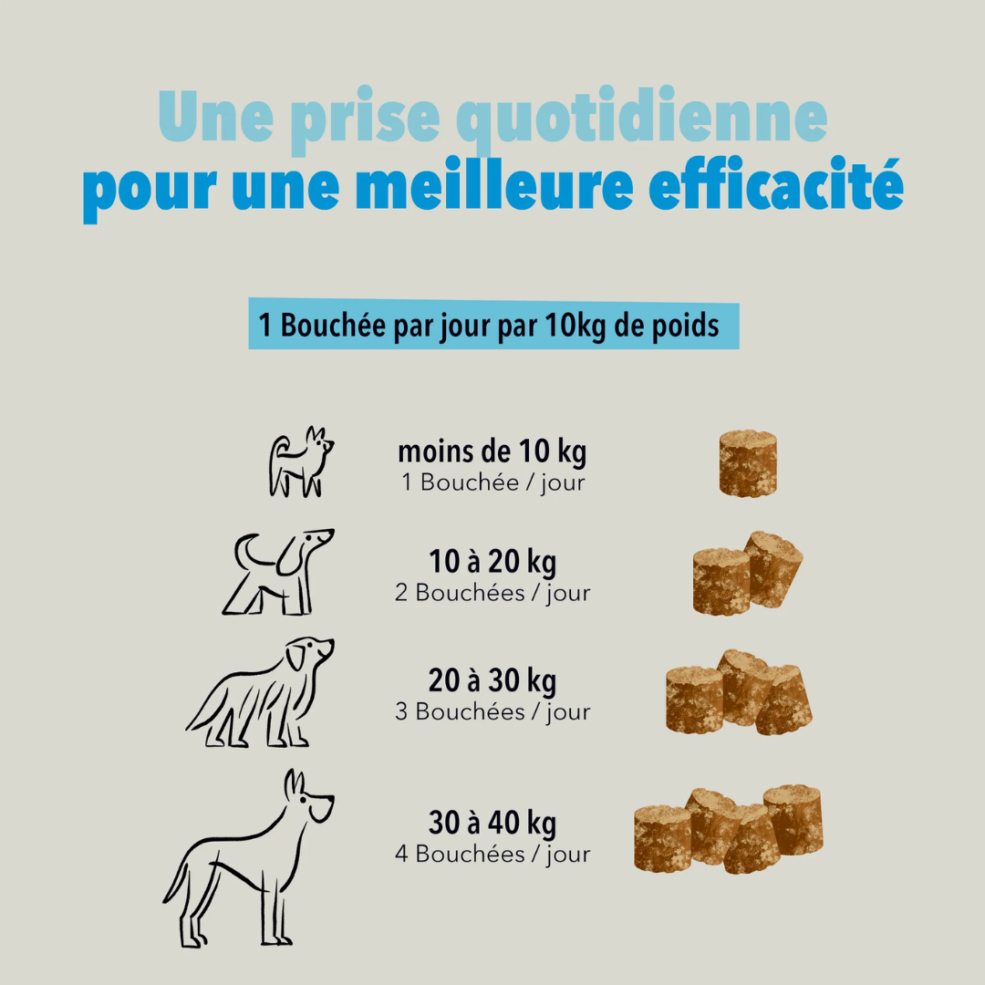 delamour-les-coffrets-anxi-t-friandises-chien-apaisantes image 5