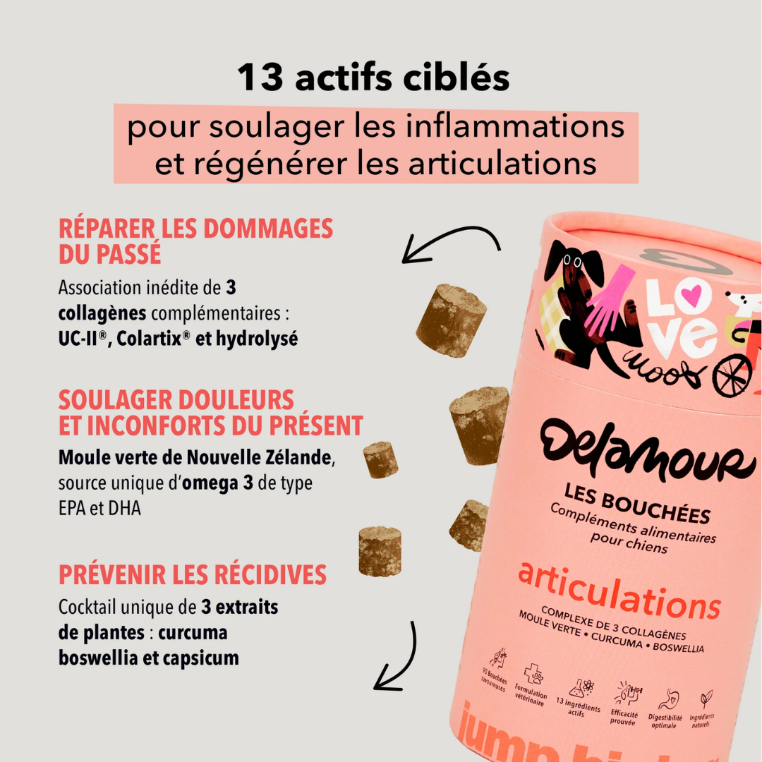 delamour-les-coffrets-articulations-compl-ment-chien-glucosamine image 3