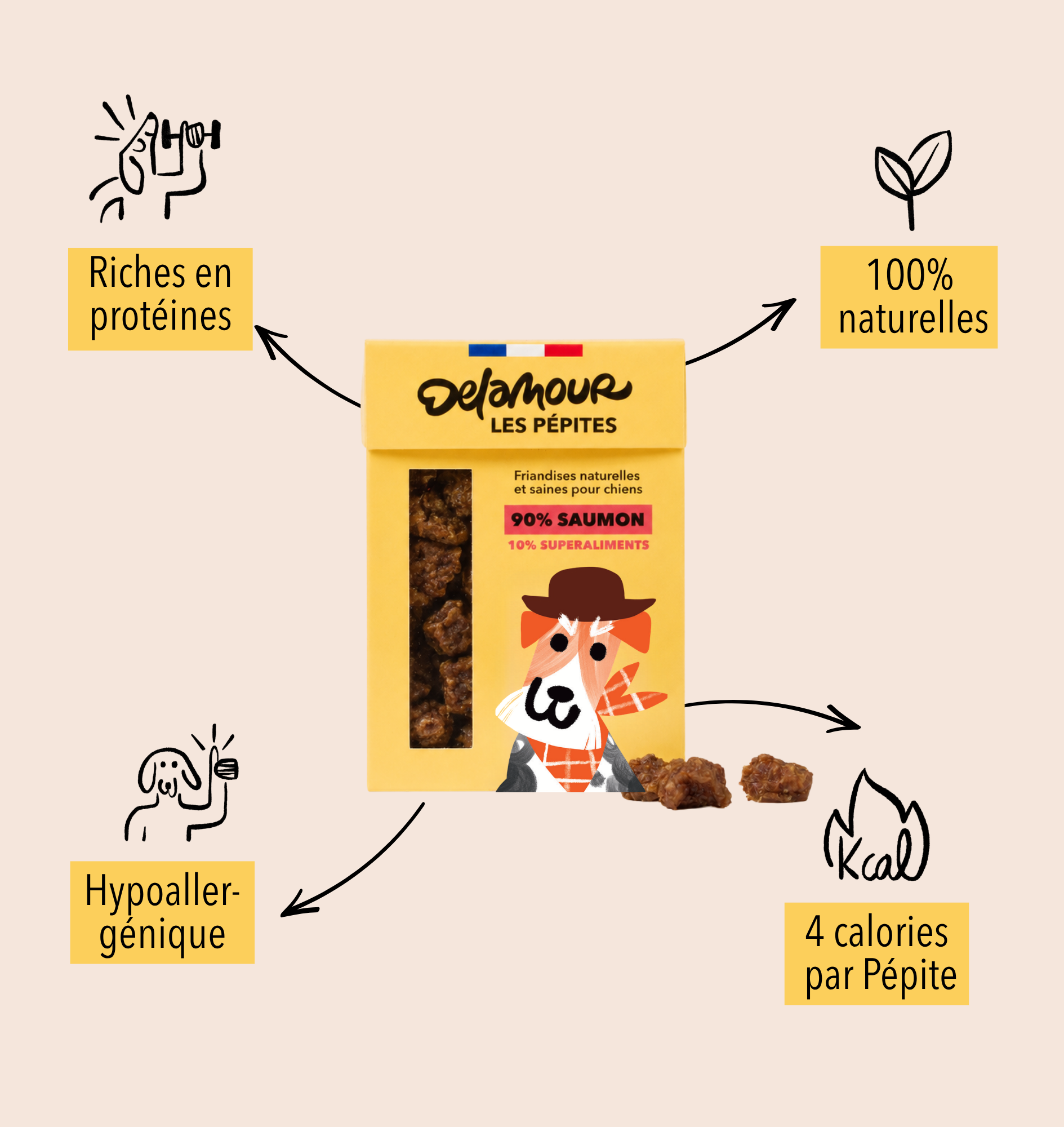 delamour-les-p-pites-friandises-saumon-recharge-10-sachets-om-ga-3 image 4