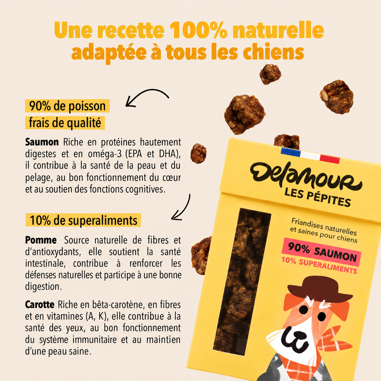 delamour-les-p-pites-friandises-saumon-recharge-10-sachets-om-ga-3 image 3