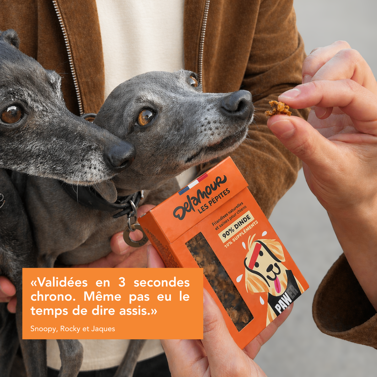 delamour-les-p-pites-coffret-d-couverte-friandises-chien-nomade-5-unit-s image 6