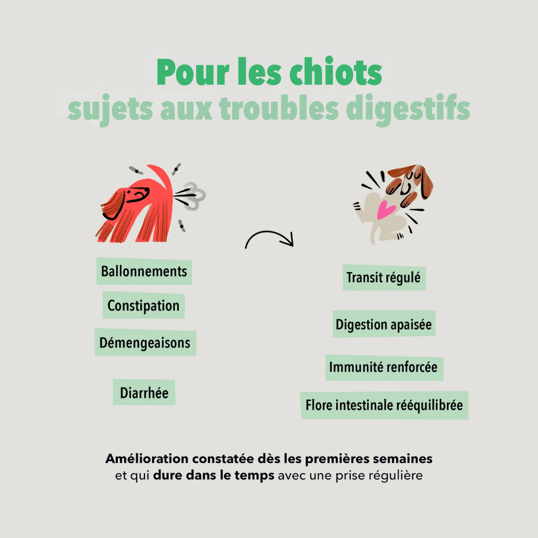 delamour-les-coffrets-coffret-chiot-digestion-cabillaud-s-r-nit image 2