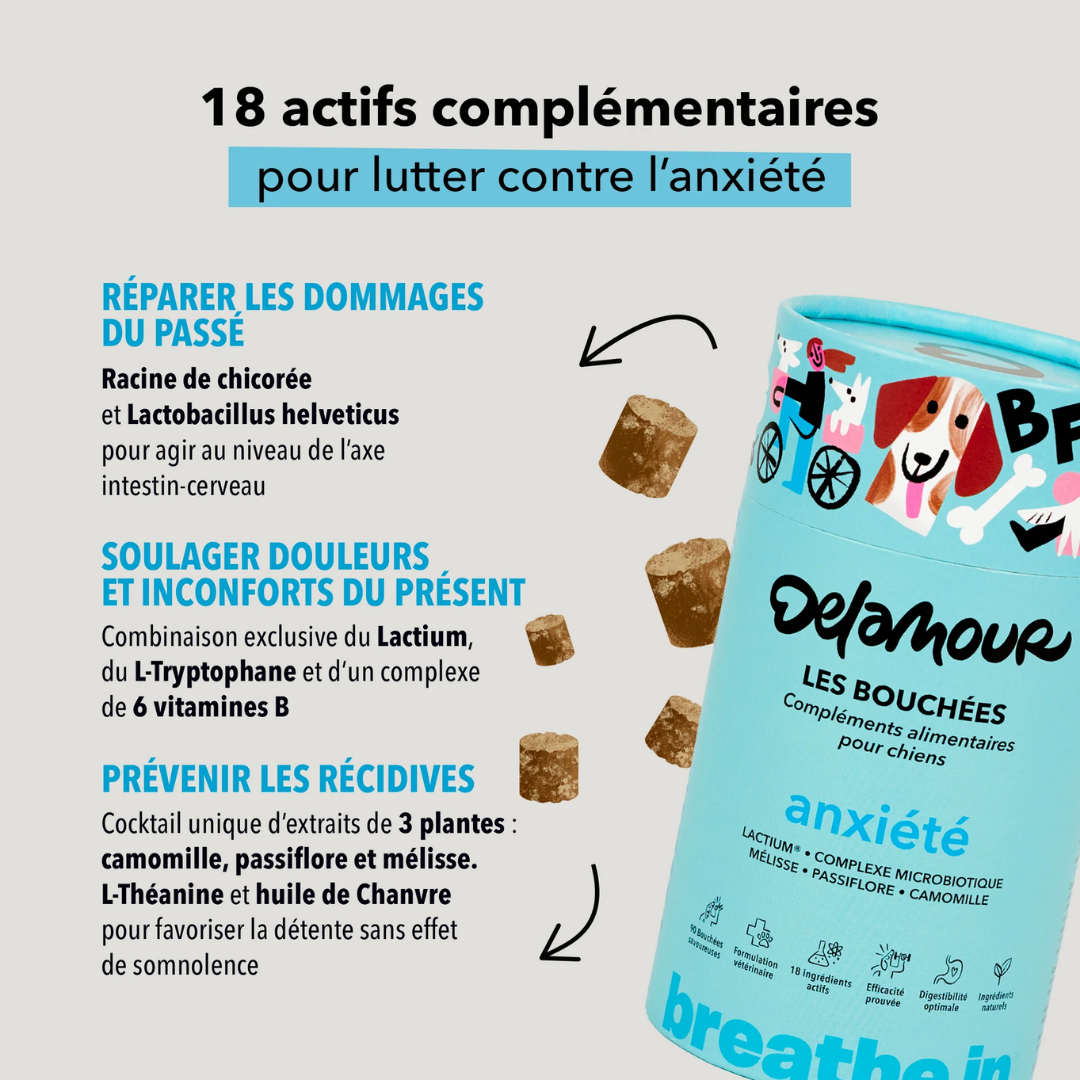 delamour-les-coffrets-anxi-t-friandises-chien-apaisantes image 3