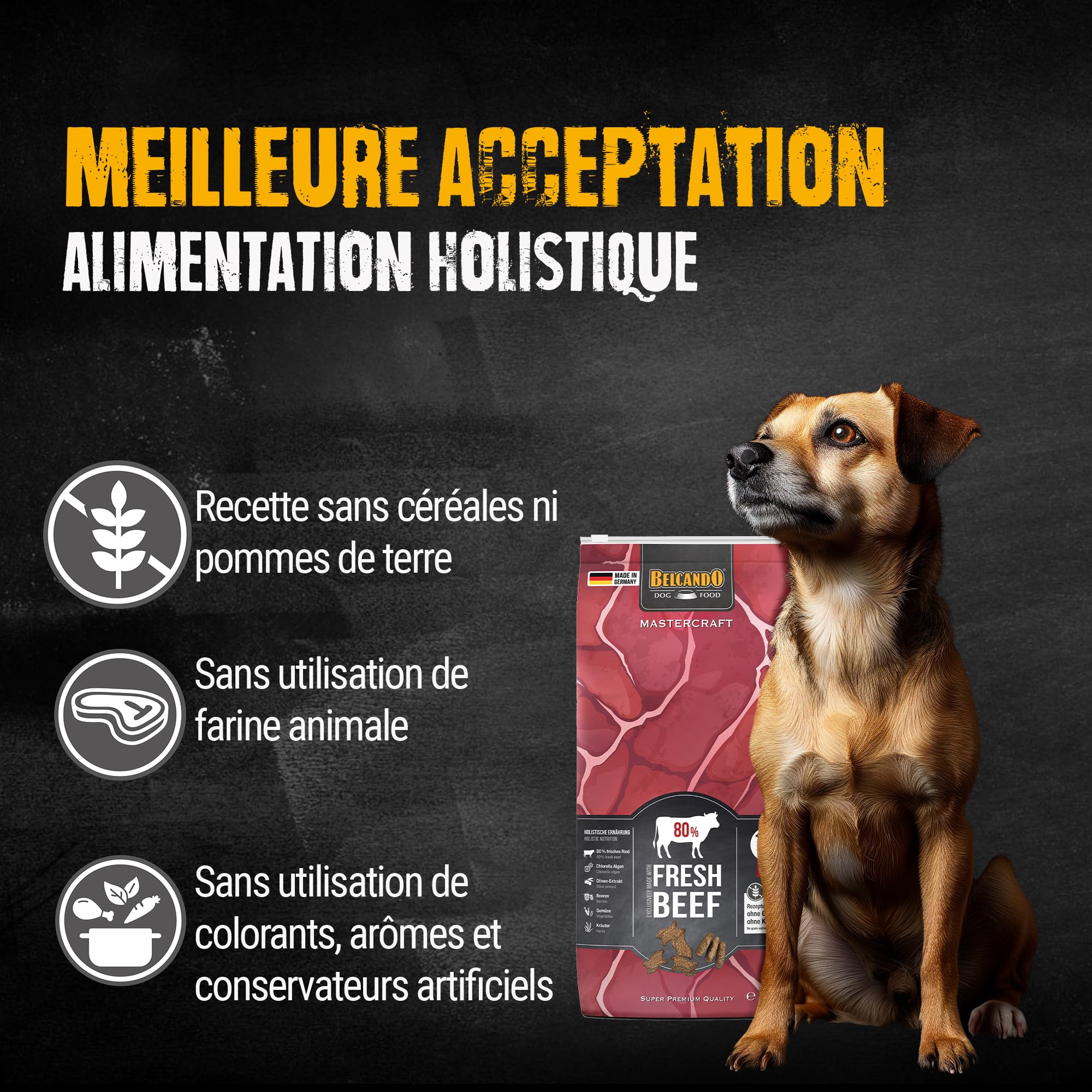 belcando-mastercraft-fresh-beef-croquettes-b-uf-sans-c-r-ales-10-kg image 5