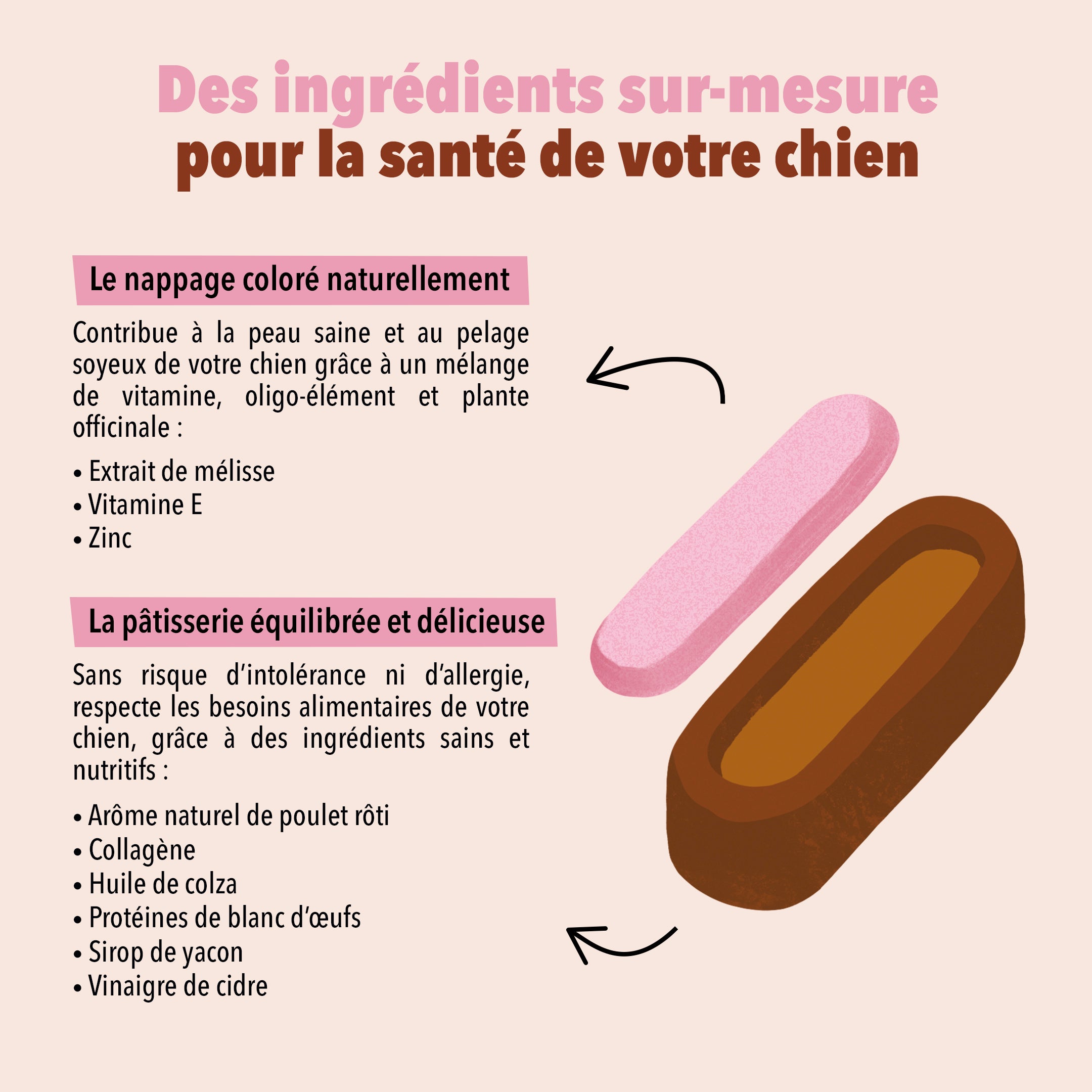 delamour-le-moelleux-pelage-soyeux-g-teau-chien-6-bo-tes image 3