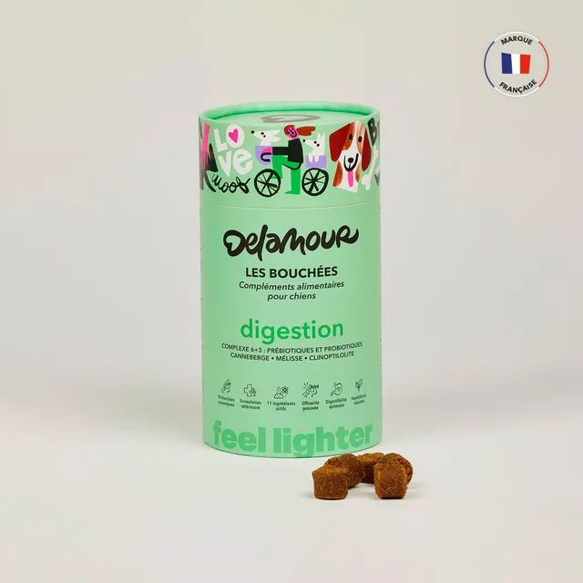 delamour-les-bouch-es-digestion-compl-ment-chien-1-bo-te image 1