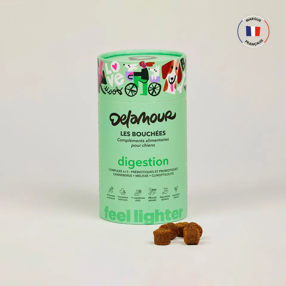 delamour-les-bouch-es-digestion-compl-ment-chien-1-bo-te image 1