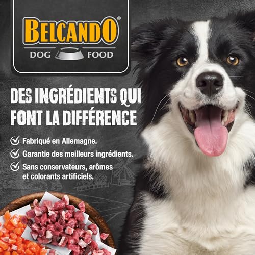 belcando-finest-gf-senior-croquettes-sans-c-r-ales-volaille-4-kg image 8