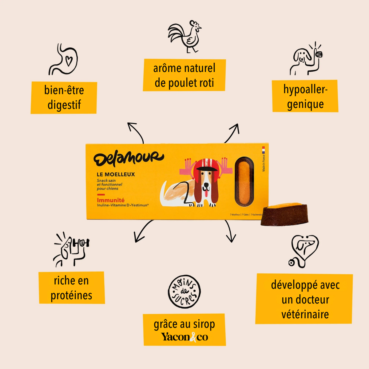 delamour-les-coffrets-digestion-coffret-chien-90-bouch-es image 8