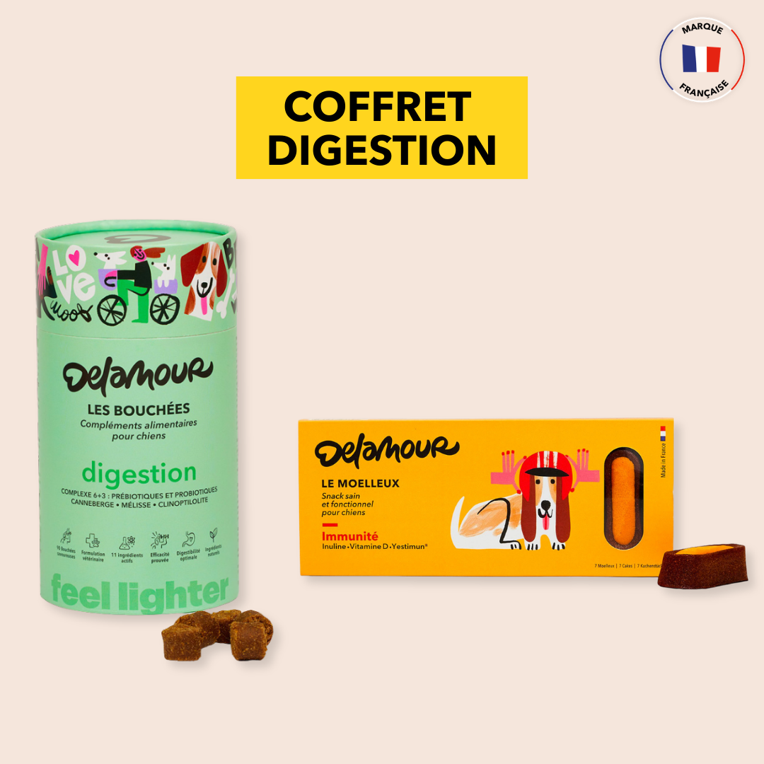 delamour-les-coffrets-digestion-coffret-chien-90-bouch-es image 1