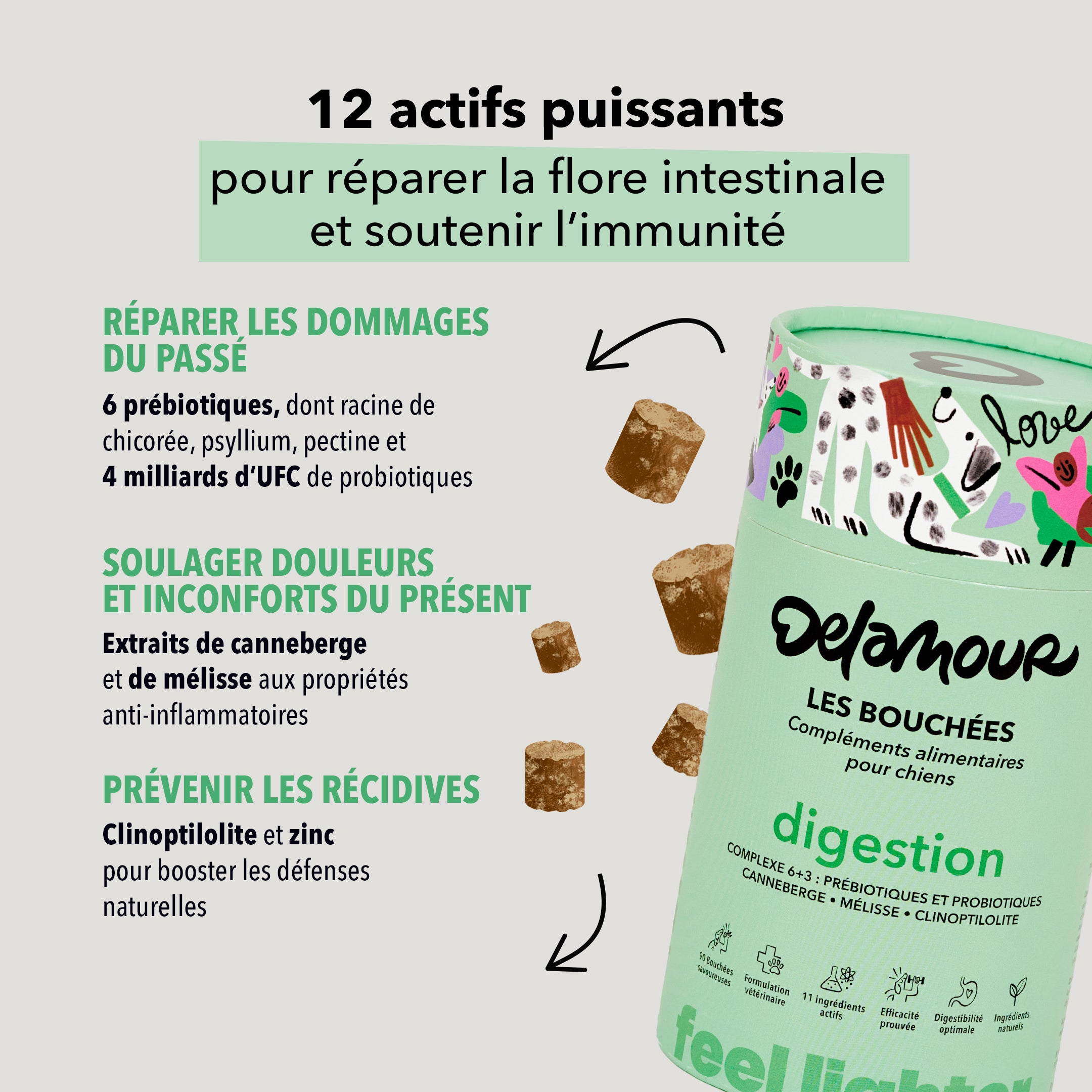 delamour-les-bouch-es-digestion-compl-ment-chien-4-bo-tes image 5